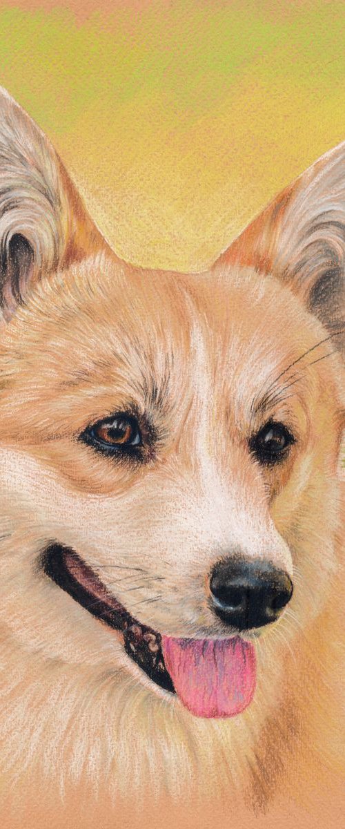 Colorful portrait of Welsh Corgi Pembroke by Olga Tsvetkova