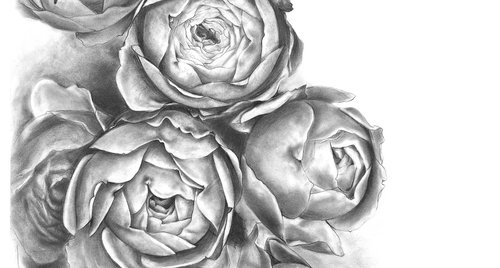 Artwork by Nataliia Kupchyk