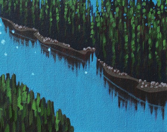 Life in the Boreal