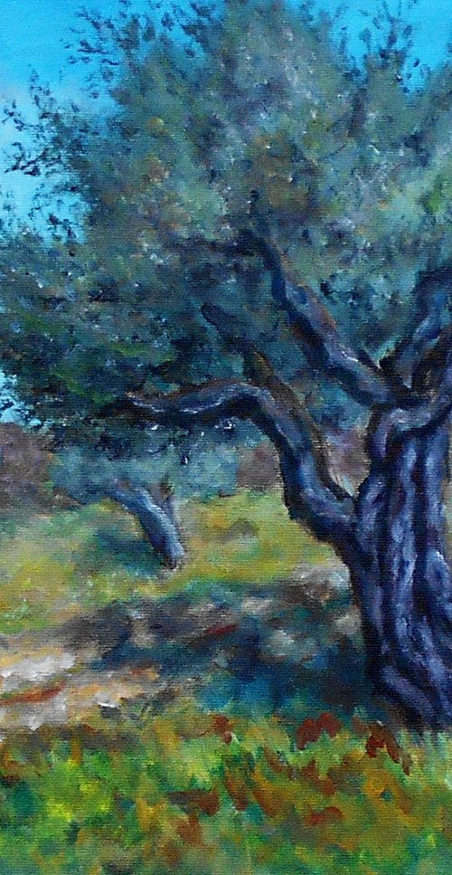 Olive trees by Kristina Valić