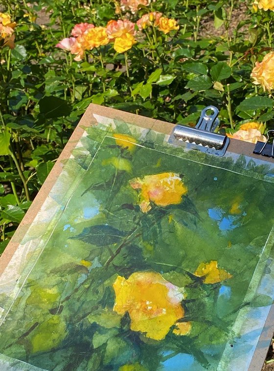 Summer Breath of Yellow Blooms