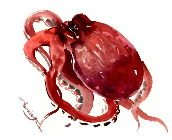 Octopus