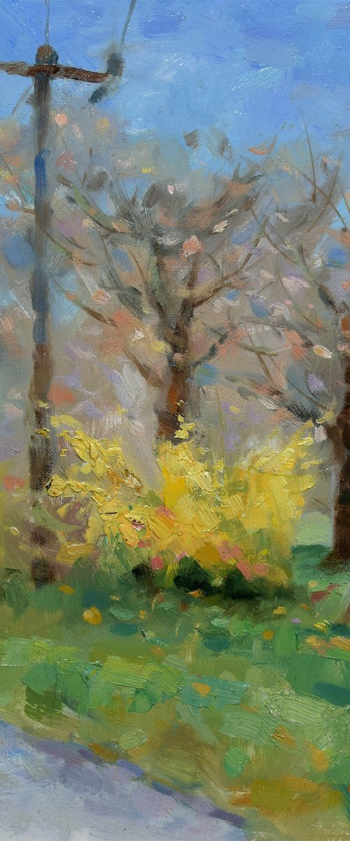 Impressionism Forsythia Spring Bloom by the Roadside by Gav Banns