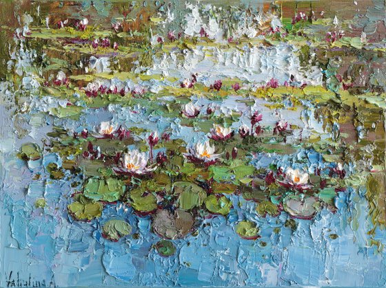Water Lilies in the Pond