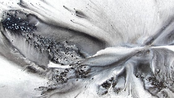 Nature 579 — Abstract Windswept Feather