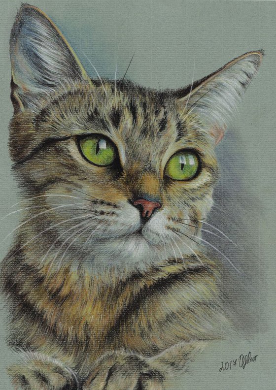 Colorful pastel portrait. A cat with green eyes. 21cm x 30cm