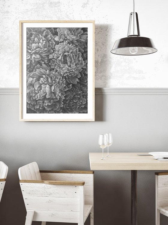 Peonies. Graphite Flowers Series