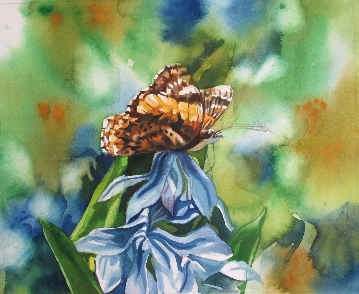 butterfly with scilla by Alfred  Ng