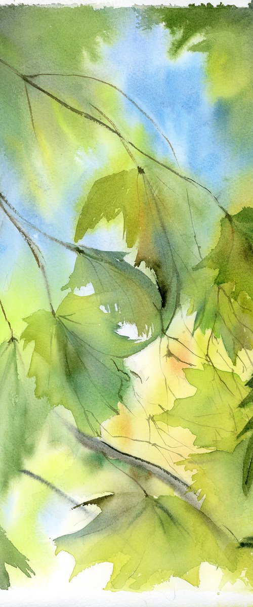 Seeing the Unseen by Olga Tchefranov (Shefranov)