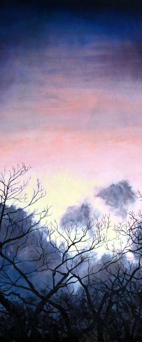 Evening Winter Sky by JON PAUL WILSON