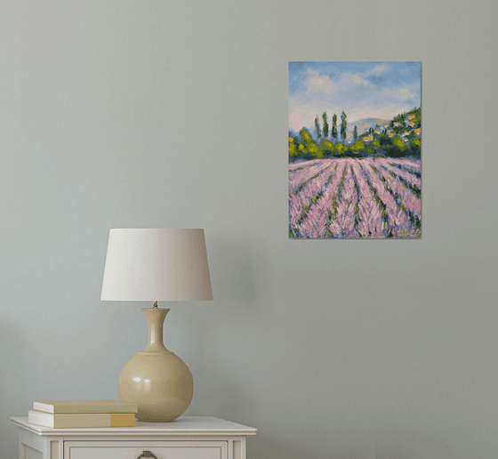 Lavender fields of Provence