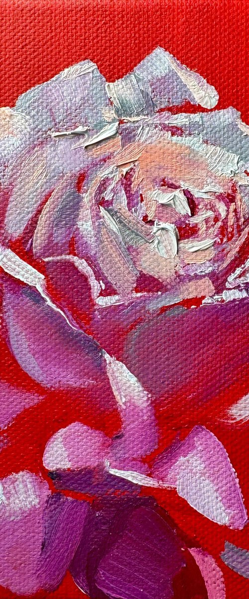 Red rose by Olena Hromova