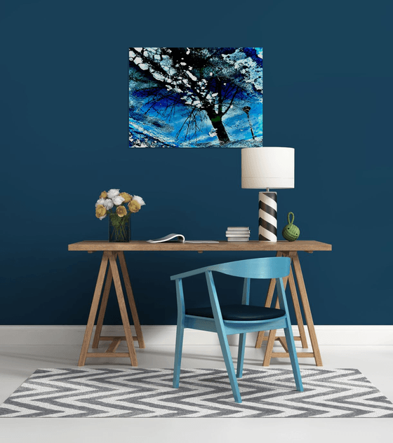 Shattered Reflection