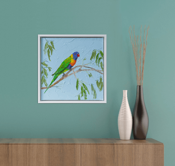 Rainbow Lorikeet