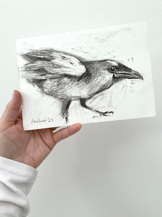 Charcoal Raven #05