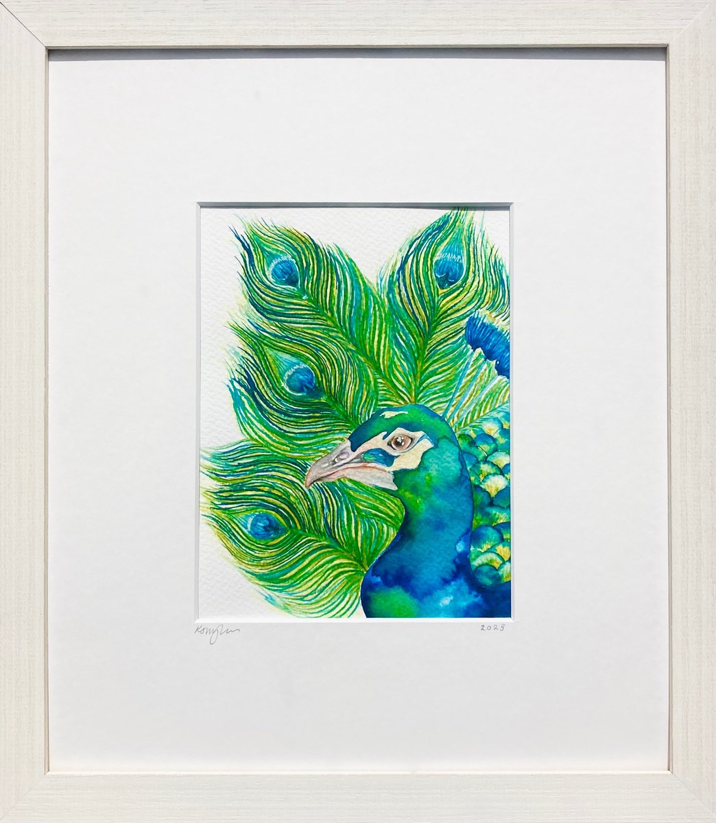 Peacock Watercolour Painting by Kate Mac