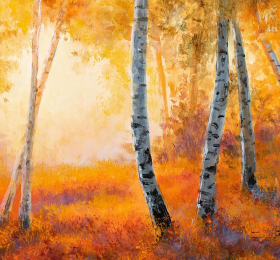 Autumn birch tree forest scene