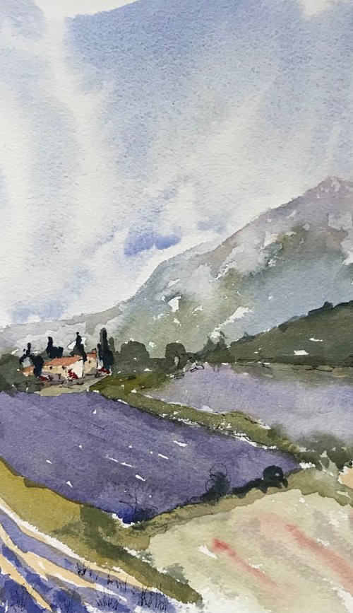 Lavender in Provence 3 by Brian Tucker