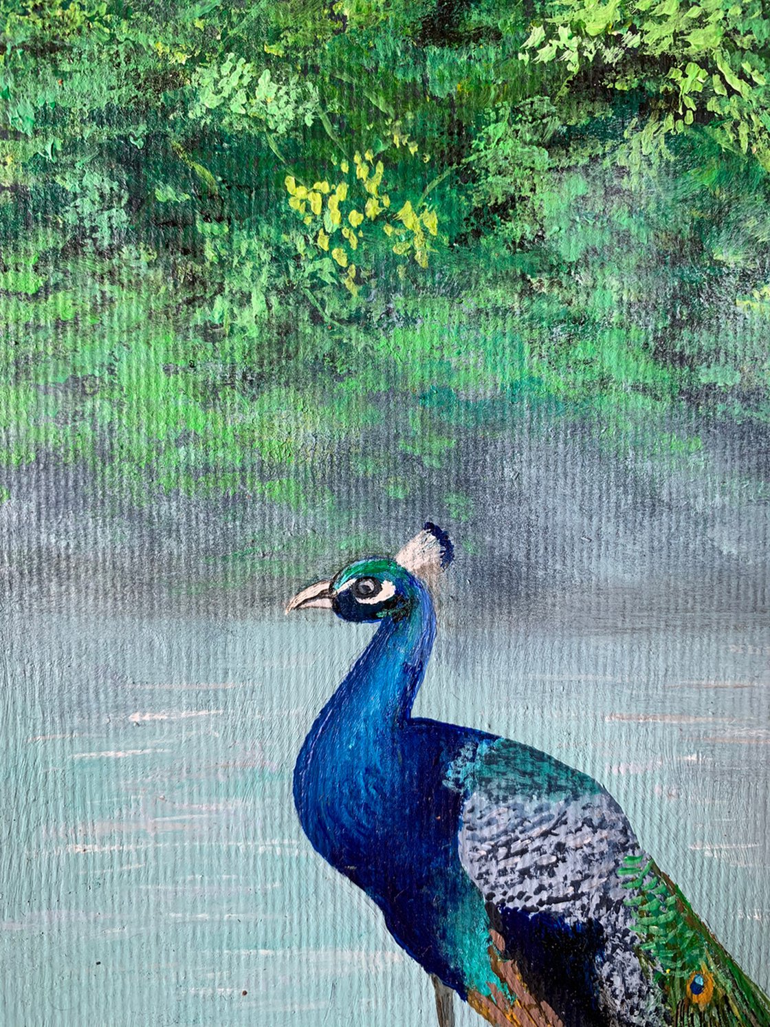 アクリル画 孔雀 peacock www.krzysztofbialy.com