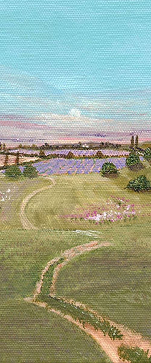 Hazy Lavender by Andrew Cottrell