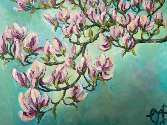 Magnolia in Spring