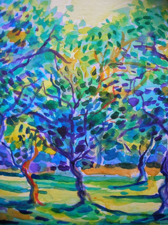 Breeze in olive orchard II