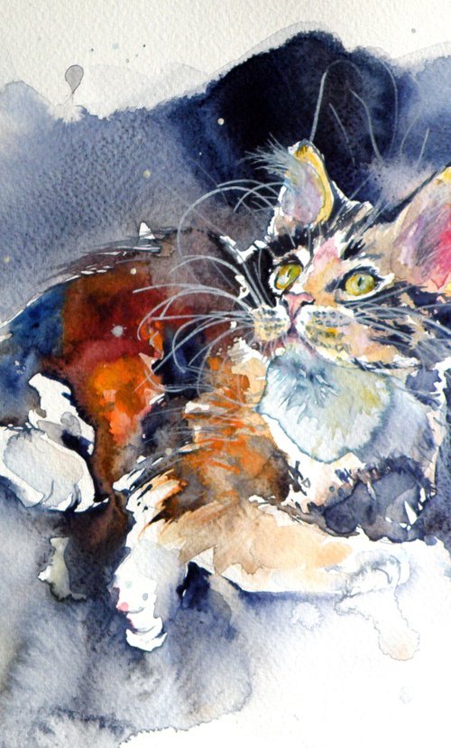 Cat resting by Kovács Anna Brigitta