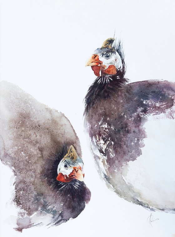 Helmeted Guineafowl