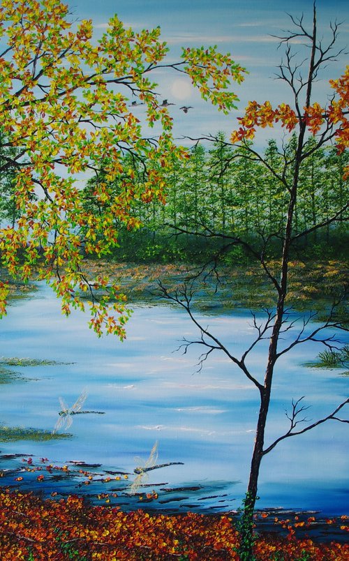 Dragonflys on Delamere Moss by Hazel Thomson