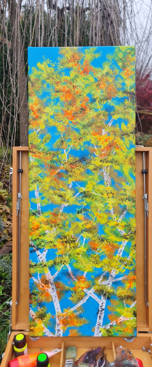 Birches by Daniel Urbaník