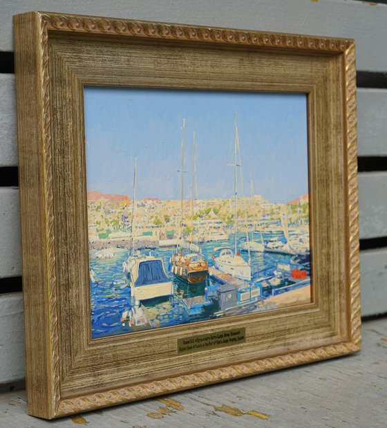 Yachts in the port Costa
