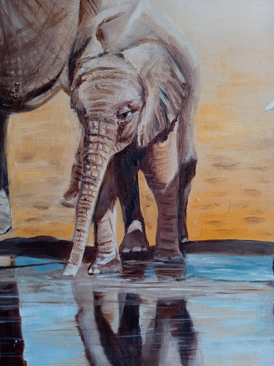 Elephants at the watering hole