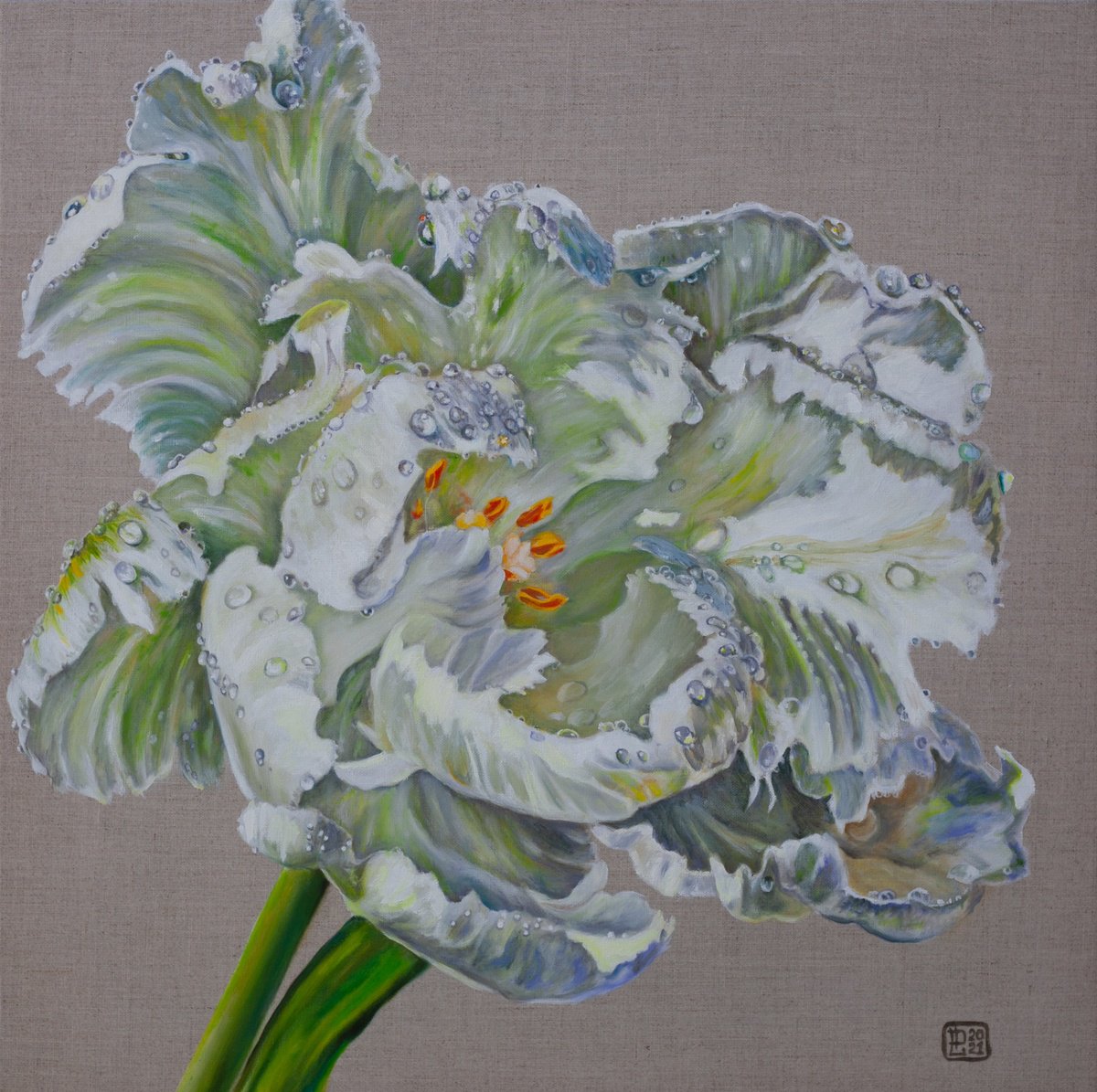 White Tulip by Liudmila Pisliakova