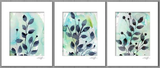 Organic Collection 2