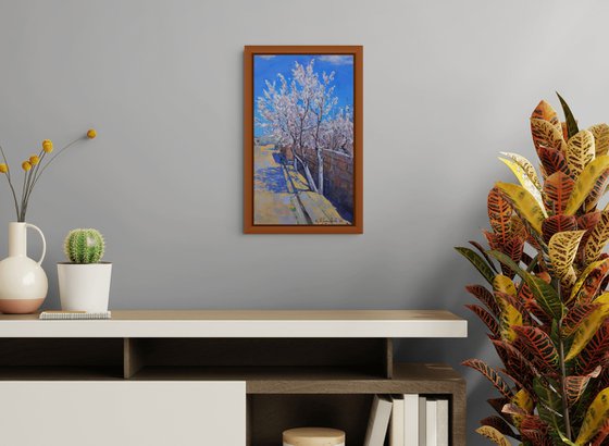 Blue Sky, White Almond Trees