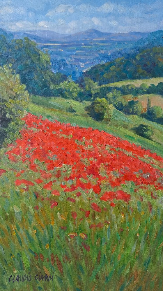 Field of poppies in Tuscany