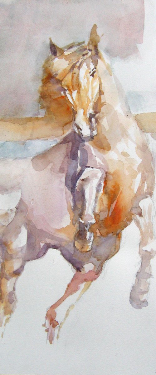 Prancing horse  in orange by Goran Žigolić Watercolors