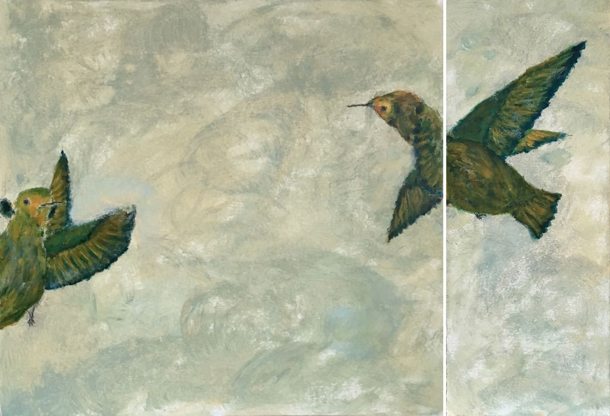 Study of hummingbird b+c by Paola Consonni
