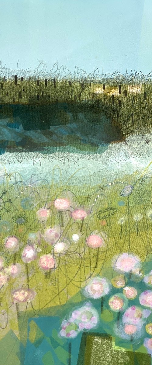 Cornwall Coastal Path - Sea Thrift by Sarah Broughton