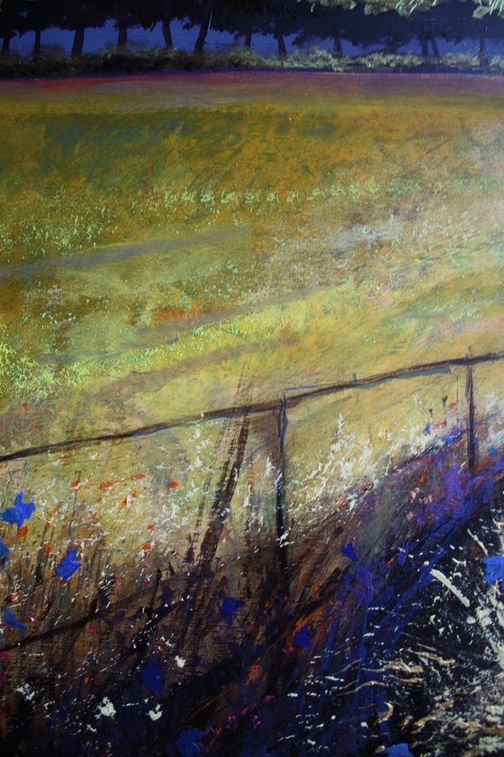 Among Blue Poppies III