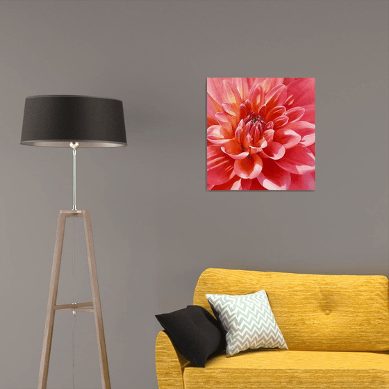 Radiant Bloom