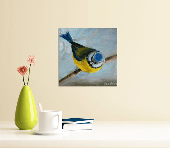 Wildlife Art Blue Tit Bird Painting  Blue Yellow White Chickadee Art Original Oil on Canvas