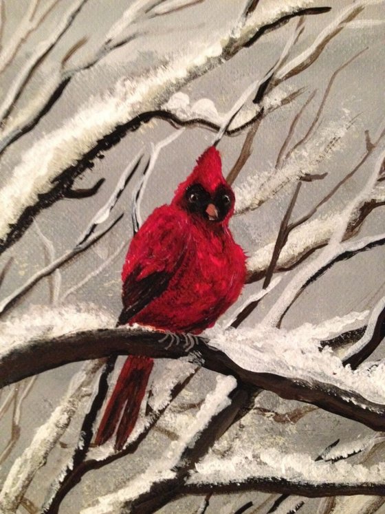 Kentucky Cardinal in Snow