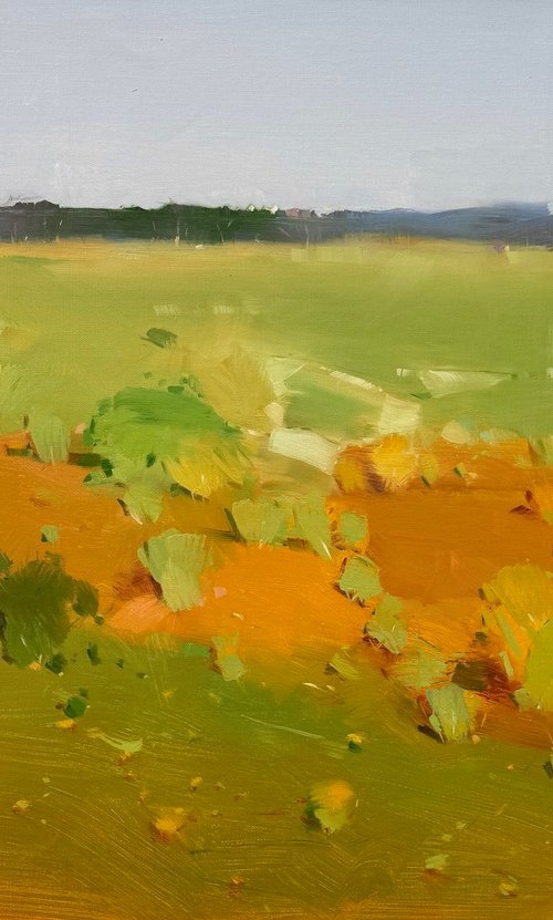 Valley View by Vahe Yeremyan