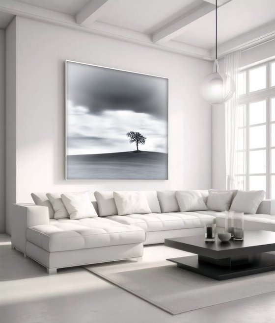 A lone tree on a hill top BW (Studio 2)