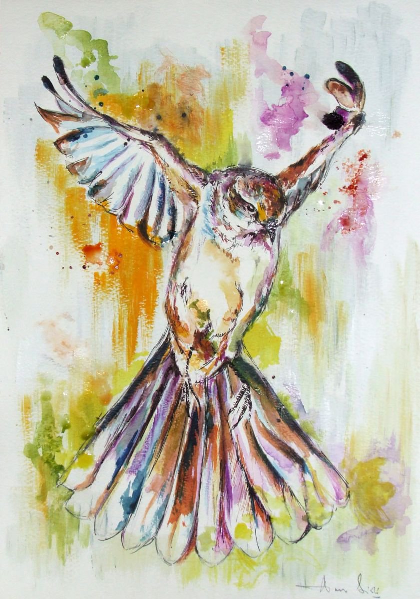 Fly / Watercolour by Anna Sidi-Yacoub