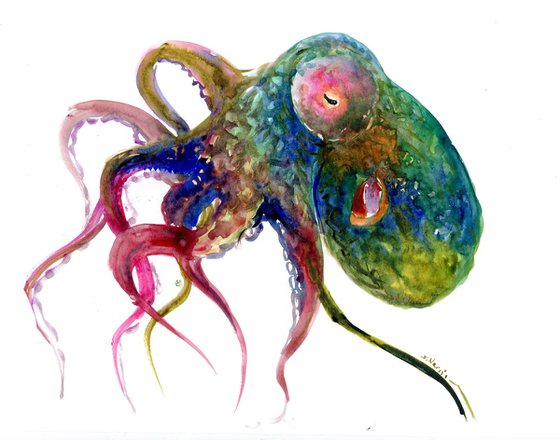 Colorful Octopus