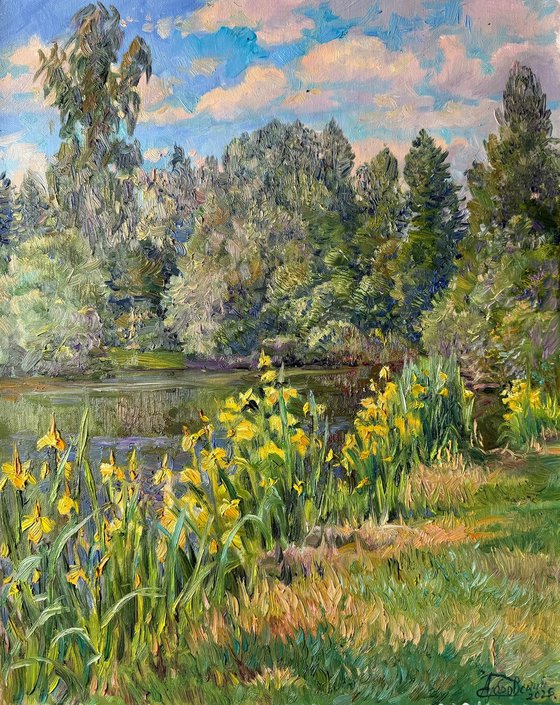 Where the Irises Bloom