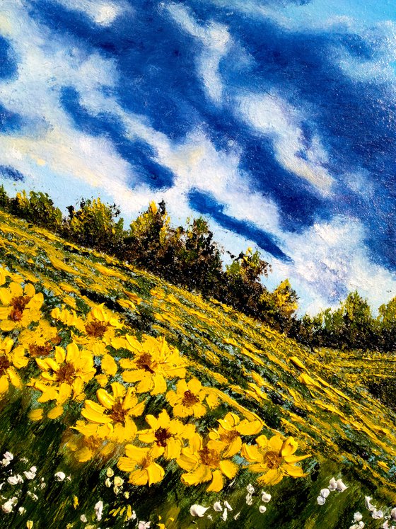 Ukraine Painting Landscape Original Art Sunflower Field Small Oil Artwork Home Wall Art 16 by 12" by Halyna Kirichenko