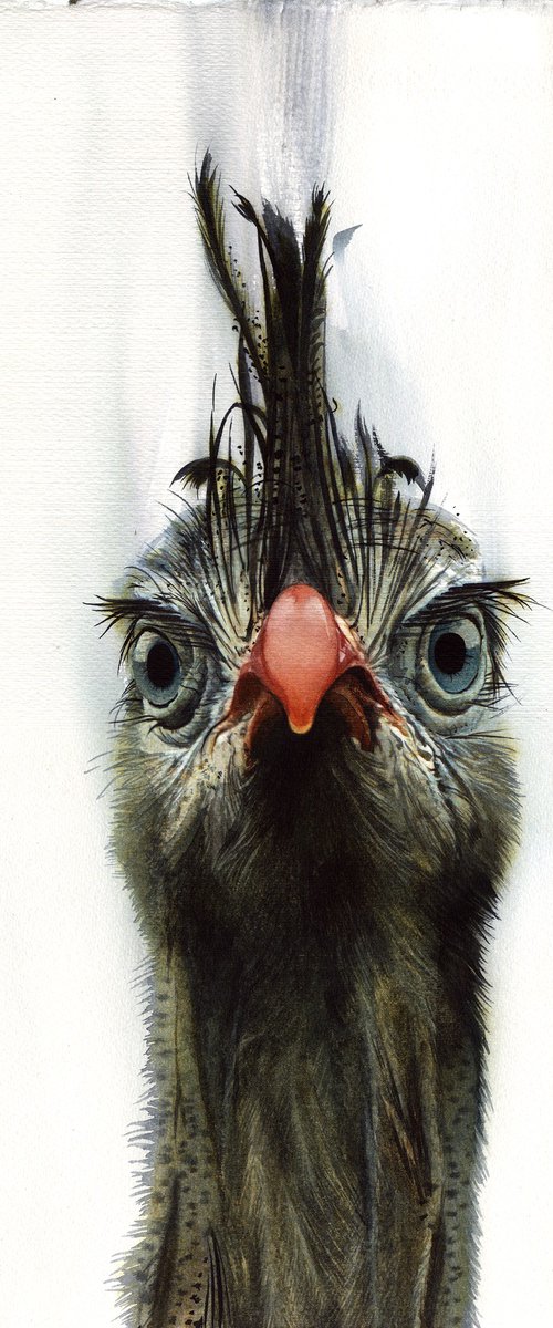 BIRD CCXXV - Red-legged Seriema by REME Jr.